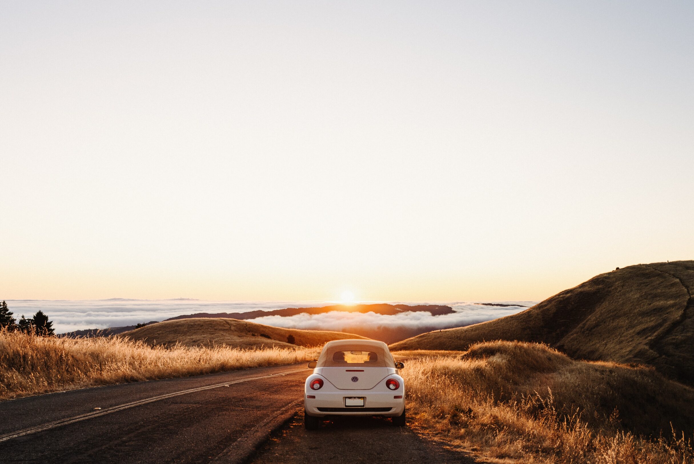 thom-milkovic-Kbman1BhUlQ-unsplash